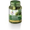 COLOURS OF LIFE Spirulina maxima 60cpr colours