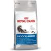 Royal Canin Alimenti per gatti asciutti adulti lunghi per interni 4 kg