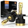D-Lumina Lampadine LED H4/HB2 Canbus,120W 30000LM Kit LED chiave dorata High Lumens Bianco 6500K,IP68 Impermeabile e Sistema di Raffreddamento Avanzato,2 Confezione
