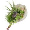 Flair Flower Arrangiamento artificiale piante grasse agave aloe vera yucca sanseveria pianta cactus muschio artificiale pianta verde pianta da tavolo pianta artificiale fiore artificiale in conchiglia