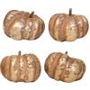 HEITMANN DECO Set di decorazioni a forma di zucca, 4 pezzi, fedeli alla natura, circa 15 x 15 cm, arancione - decorazione autunnale per davanzale, tavolo & Co.