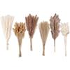 ANPROOR Decorazione in erba di pampas essiccata, 120 pezzi di erba di pampas con code di coniglio e fiori secchi, bouquet di erba di canna per matrimonio, fiori boho, decorazione della tavola domestica, 125