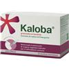 DR.WILLMAR SCHWABE GmbH&CO.KG Kaloba Granulato Orale Estratto Pelargonio per Raffreddore 21 Bustine 800mg