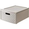 Rotho Country Cassettiera con 1 Cassetto in Rattan, Plastica (PP) senza BPA, Beige (Cappuccino), Grande/19.2 L, 45.0 x 34.0 x 20.0 cm