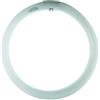 Bot Lighting Srl Circolare Trifosforo T9 32w G10Q 2000 lm 6500k 865 Bot Lighting LR321T