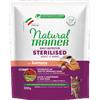 TRAINER NATURAL TRAINER CAT STERILIZZATO SALMONE