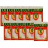 LUXOR Gasmantles Ltd. 10 calze incandescenti per Petromax HK150 HK250 HK350 HK500 e altre lampade a petrolio - a scelta (100 CP (2 fori))