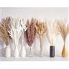 Bannifll 125 Pezzi di Bouquet di Erba di Pampas Secca, Decorazione Tavolo Boho, Fiori Secchi di Coda di Coniglio, Pampas Marrone, Pampas Bianca per Matrimoni, Decorazioni per la Casa