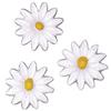 RAYHER - 3134400 - Cera, motivo: margherite, 2,5 cm, confezione da 6 pezzi