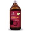 Salugea Succo Mangostano Bio Integratore Stomaco e Intestino, 500ml