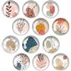 Zamety 12 Pezzi Calamite Frigorifero, Pianta Calamite Frigo, 3D Cristallo Calamite Bambini, Diametro 30 mm Magneti Frigo, Magneti Frigorifero per Ufficio, Lavagne Bianche, Foto