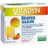 Phyto Garda Vitadyn Ricarica Integratore Di Sali Minerali 14 Bustine 7 g