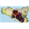 Selezione Fresco di Vigna Selezione Capo Lilibeo Vini Rossi Siciliani