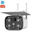 Tuya Telecamera Smart WiFi con Pannello Solare e Batteria da 2.0MP