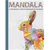 BELLEDIZIO IL MIO MAGICO LIBRO DI MANDALA DA COLORARE: ATTIVITÀ, RILASSAMENTO E DIVERTIMENTO 55 affascinanti mandala con animali, frutta, alberi e leccornie, ... - PER GIOVANI ARTISTI DAGLI 6 ANNI IN SU