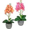 Flair Flower Fiore artificiale farfalla orchidea 35 cm con foglie in vaso, orchidea artificiale Phalaenopsis, vaso per piante artificiali, decorazione per matrimoni, fiori di seta Real Touch, set da 2 pezzi,