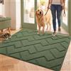 Biscpro Zerbini per Ingresso Interno,80x100cm Tappetino Antiscivolo Lavabile in Lavatrice,Zerbino d'Ingresso Polipropilene Assorbenti per Interno,Ingresso,Esterno,Corridoio,Balcone-Verde