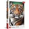 Trefl - Ritratto di Tigre - Puzzle 1500 Pezzi - Puzzle per gli Amanti degli Animali, Felino Selvatico, Fai da Te, Intrattenimento Creativo, Divertimento, Puzzle Classico per Adulti e Bambini