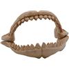 Amtra Deko Denti di Squalo - Decorazione in Resina atossica per Acquari, Accessorio Ornamentale subacqueo, Decorativo rifugio nascondiglio, Dipinto a Mano, Dimensione 10,5 * 17 * 13 cm