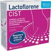 MONTEFARMACO OTC SpA Lactoflorene Cist fermenti lattici per vie urinarie 10 buste - Montefarmaco