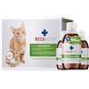RECOACTIV Immunitario Gatti - efficace stimolante dell'appetito, rapido supporto in caso di ridotta assunzione di cibo, perdita di peso e carenze nutrizionali, altamente appetibile, liquido, 3 x 90 ml