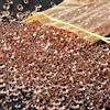 GEFIRE 4000 Pezzi Diamantini Decorativi Cristalli, 3 Taglie Diamanti di Cristallo Acrilico, Cristalli Decorativi Diamanti Decorativi per Riempire Vasi, Tavolo da Pranzo, Matrimonio, Festa（Oro Rosa）