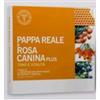 Unifarco Pappa Reale Rosa Canina Integratore ricostituente 10 Flaconcini x 10 ml