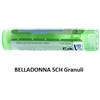 Boiron Belladonna 5ch 80gr 4g