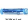 Boiron Drosera 9ch 80gr 4g