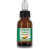COSWELL SpA Pumilio Aroma Energizzant 10ml