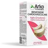 ARKOFARM SRL AGLIO ARKOCAPSULE 45CPS