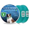 VICSOM Collare Antiparassitario per Cani, Luminoso Collare Antipulci Cane, Collare per Cani e Zecche Regolabile Impermeabile, 8 Mesi di Protezione per Cani di Piccola Taglia, Medio e Grande blu chiaro 2pz