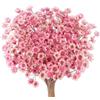 Larber 300 fiori secchi brasiliani piccoli fiori secchi decorativi rosa mini margherita essiccati bouquet di camomilla per vacanze decorazione festa fai da te casa matrimonio composizioni floreali secche