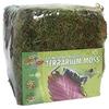 Zoo Med Zoomed Terrarium Moss MD