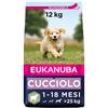 Eukanuba Cibo Secco per Cuccioli di Taglia Grande, Ricco di Agnello e Riso, 12 kg