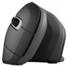 Trust Mouse Trust Verro Wireless [23507]