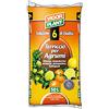 VIGORPLANT Vigor Plant Terriccio per Agrumi Limone Mandarino Arancio Pompelmo - 45 lt - Terriccio universale per Agrumi
