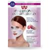 GDP GENERAL DIETETICS PHARMA SRL Winter Hyaluronic Face Lift Complex Maschera Viso Antietà 35ml