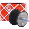FEBI BILSTEIN Supporto, Cambio 06624 Compatibile con: BMW 1, 1, 1 Cabriolet, 1 Coupe, 3, 3, 3, 3 Cabriolet, 3 Cabriolet, 3 Cabriolet, 3 Compact, 3 Compact, 3 Coupe, 3 Coupe, 3 Coupe, 3 Touring