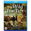 New Wave Films The Wild Pear Tree (Blu-ray) Aydin Dogu Demirkol Murat Cemcir Bennu Yildrimlar