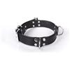 Kiotos Leather Deluxe Bondage Collar Black