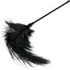 Easytoys Black Feather Tickler