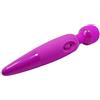 Pretty Love Power Wand Pink
