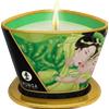 Shunga Libido Massage Candle Exotic Green Tea 170ml
