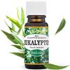 Saloos 100% Natural Essential Oil Eucalyptus 10ml