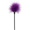 ToyJoy Sexy Feather Tickler Purple
