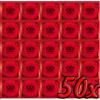 EXS Warming 50 pack