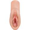 Pipedream PDX Plus Perfect Pussy Dream Stroker Skin