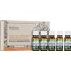Saloos Set of 100% Natural Essential Oils Aromatherapy Magic 5 pack