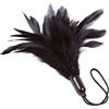 Adrien Lastic Prestige Feather Tickler Black